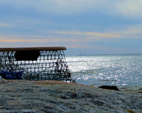 Beached lobster trap